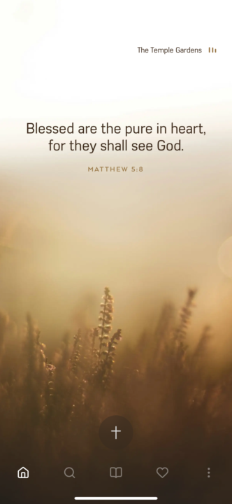 Matthew 5:8