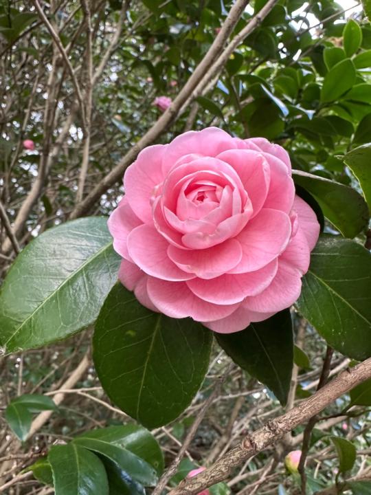 Амартүвшин Майбаяр