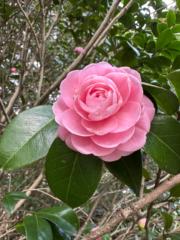 Амартүвшин Майбаяр