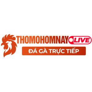 Đá Gà Trực Tiếp ThoMoHomNay