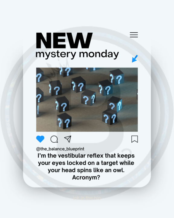 Monday's Mystery ‼️