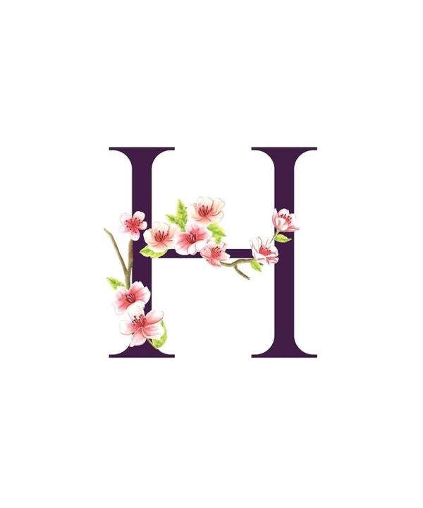 Hayden Sealove