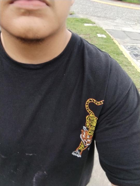 Marco Vargas Reyes