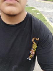 Marco Vargas Reyes