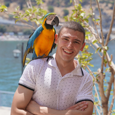 Nemanja Dimitrijevic