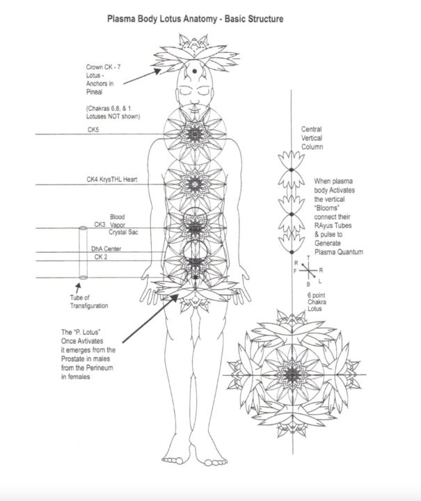 The Blueprint of Your Soul: Mapping the 15D Human Template