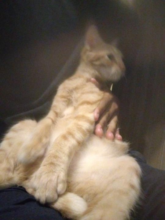 Christian Osuna Portillo