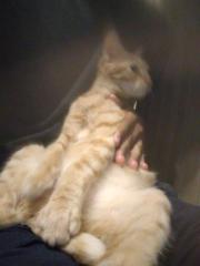 Christian Osuna Portillo