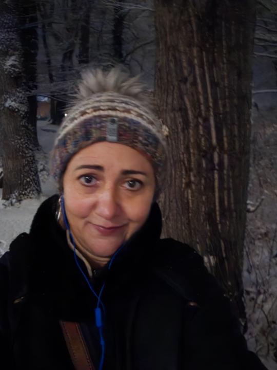 Ladan Amirazizi