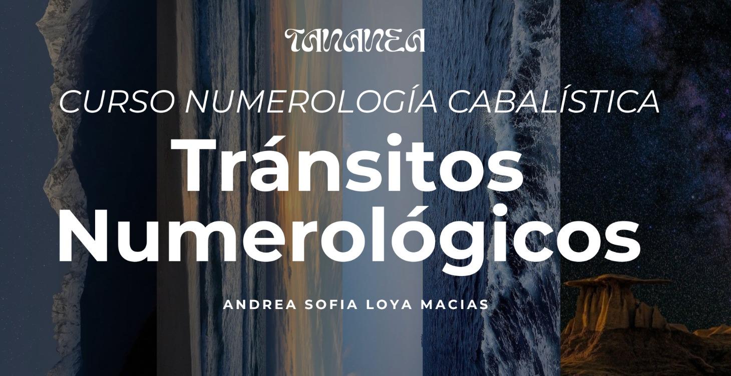 2- Tránsitos numerológicos- Curso Numerología