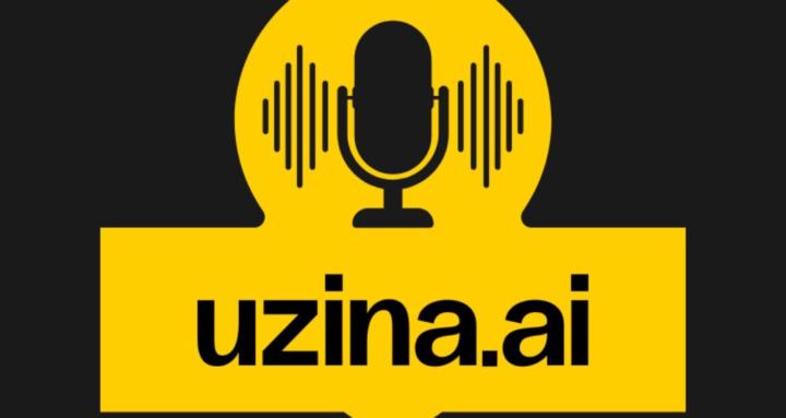 Uzina.Ai (Vizionăm Venituri)
