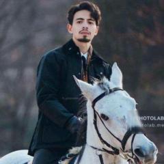Lassoued Amer