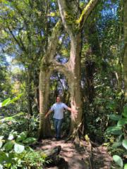 Andrés Camacho