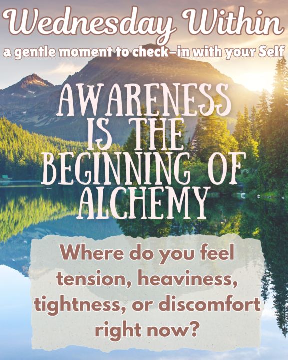 ✨🐛Wednesday 💫Within🦋✨