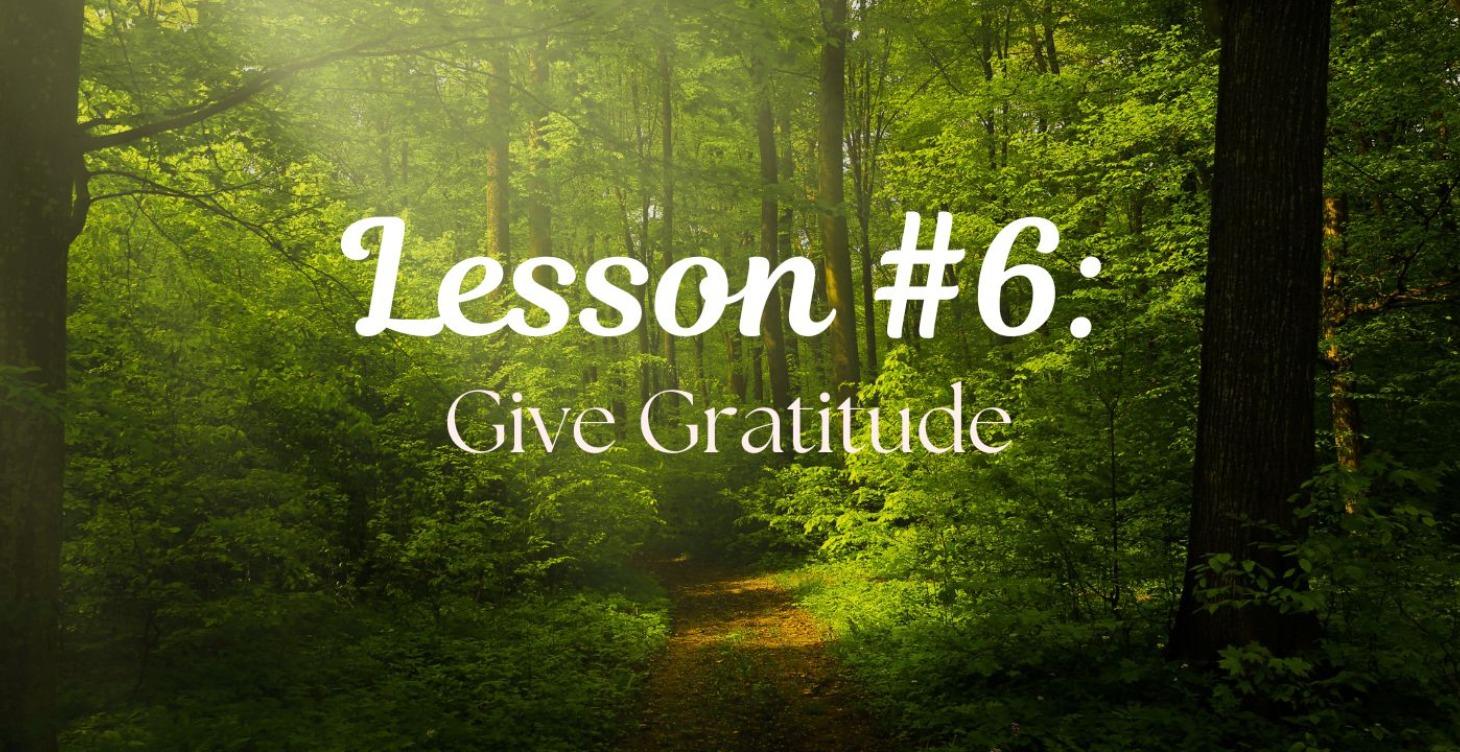 Lesson #6: Give Gratitude