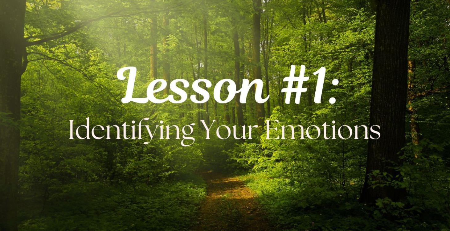 Lesson #1: Identifying your Emotions