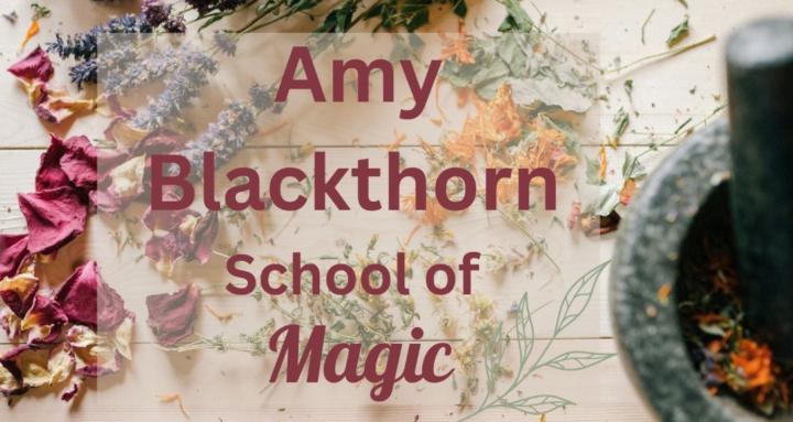  AmyBlackthorn School of Magic