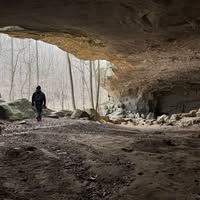 Joshua Burchfield