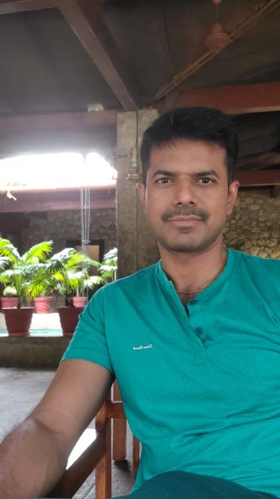 Vijayasarathy N