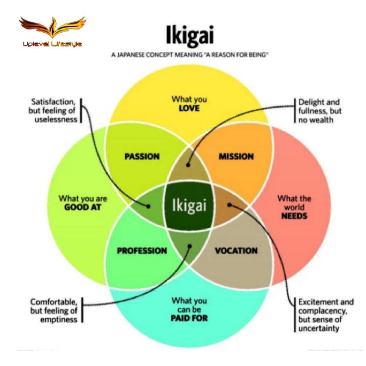 IKIGAI – THE JAPANESE ART OF HAPPINESS AND LONG LIFE  😀😊🤣⌛⌛⌛
