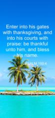 Victoria Henry-Chandler