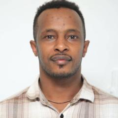 Seifu woldekidan Elfeta