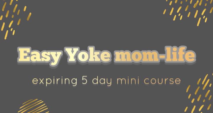 Easy Yoke mom-life