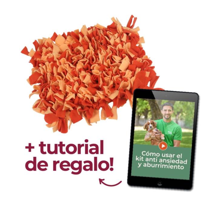 Andy Mail secundario