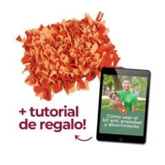 Andy Mail secundario