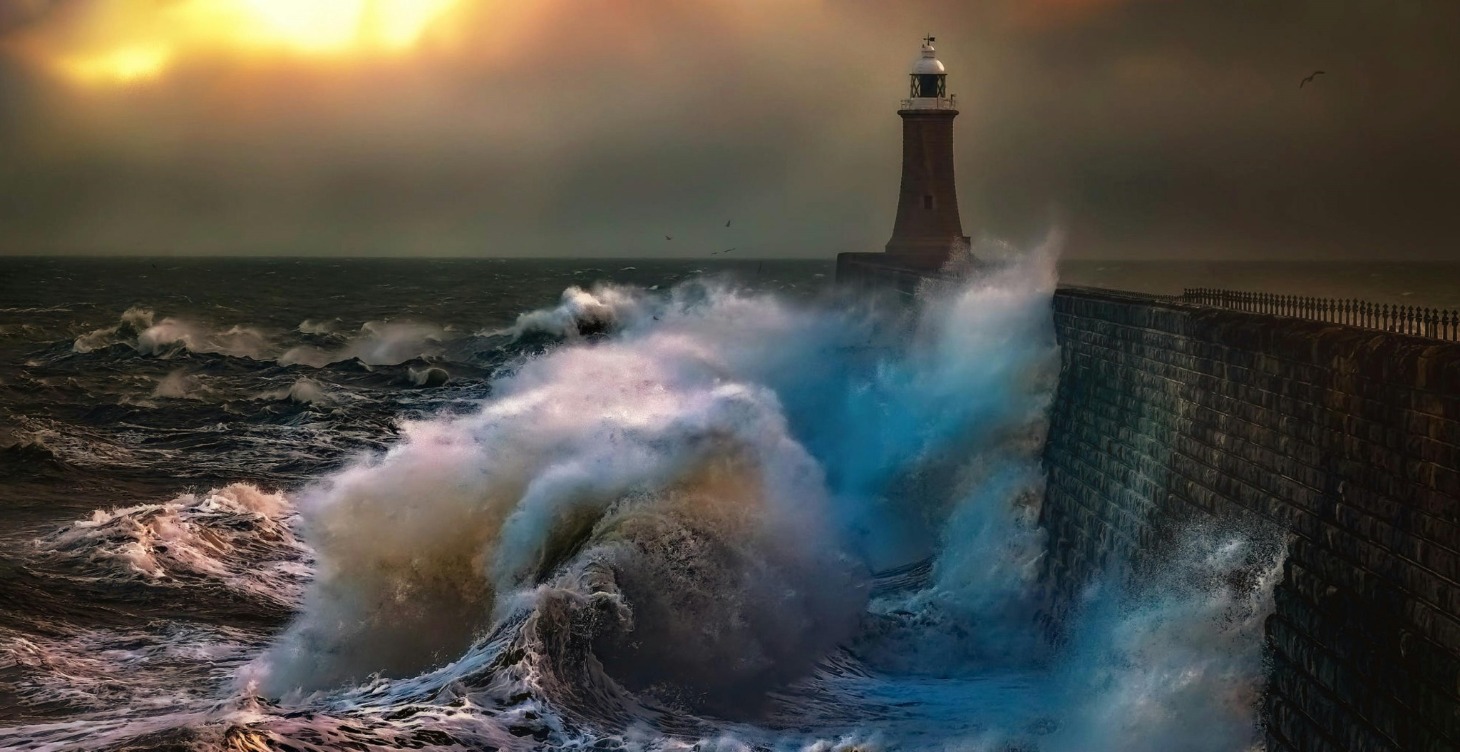 Application Stage: Real-World Practice