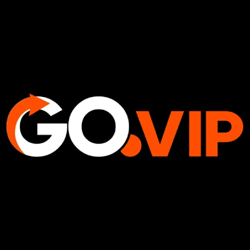 Govip Ai