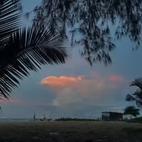 Nicholas-iman Sydney