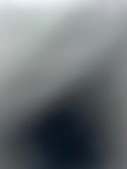 Silje Andrea Pettersen