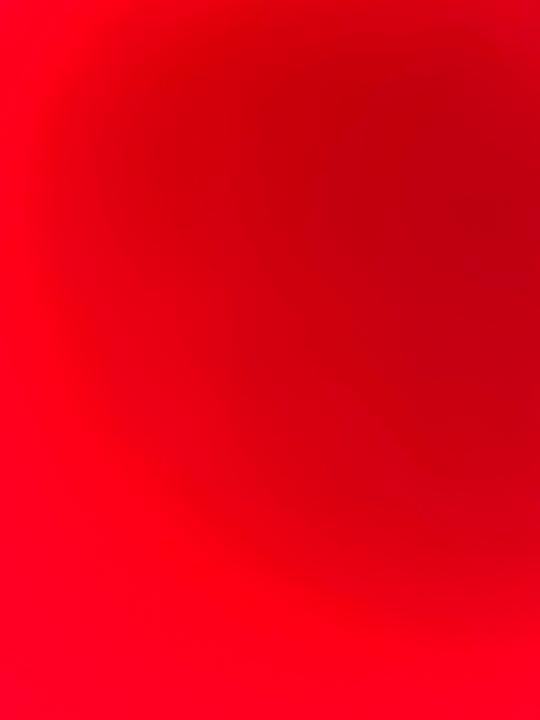 Diego Vladimir Valadez Martinez