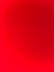 Diego Vladimir Valadez Martinez