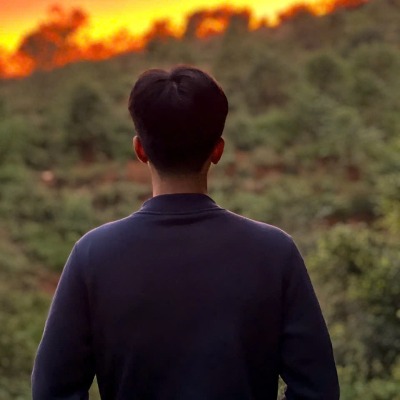 Vũ Anh Trần Nguyễn