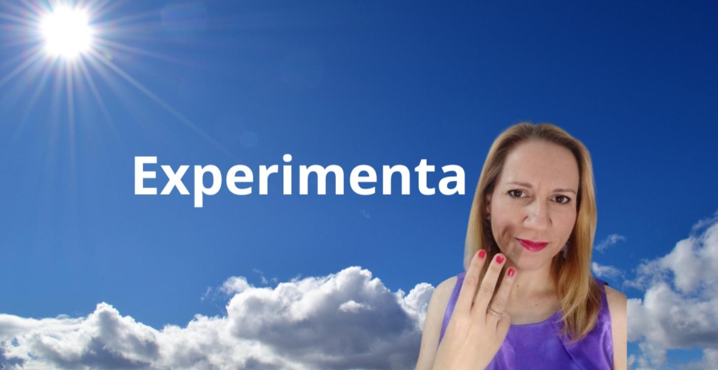 Nivel 4- Experimenta