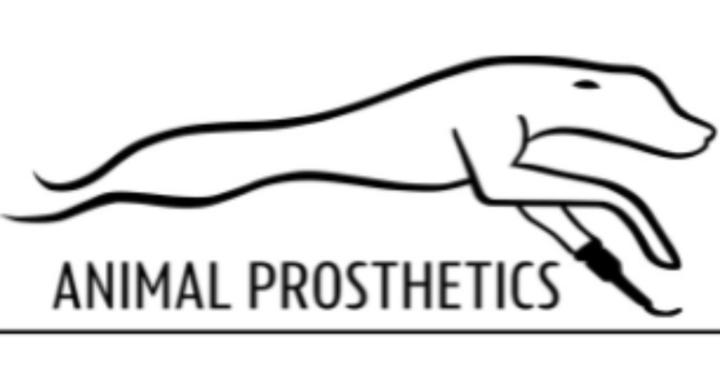 Animal Prosthetics