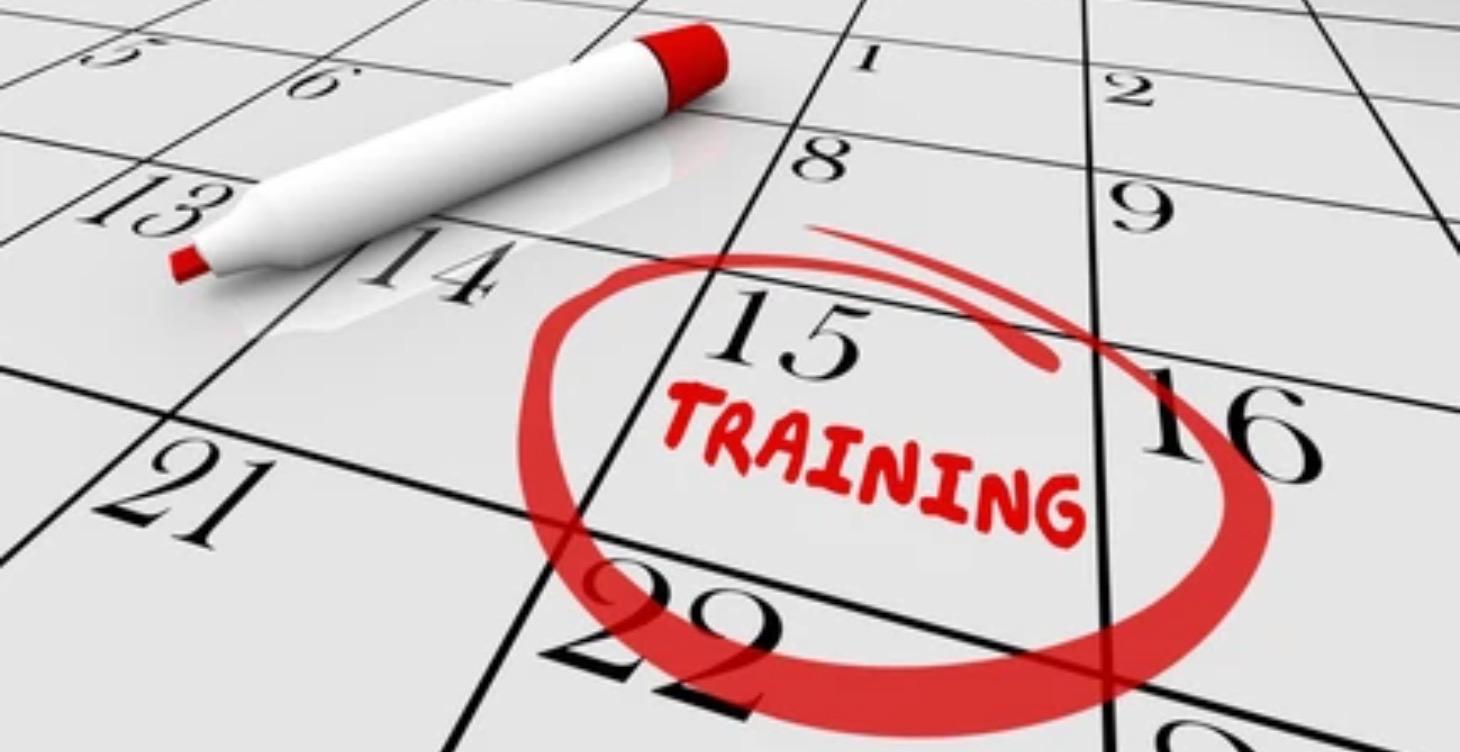 Weekly Training Schedule