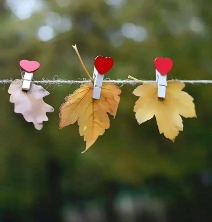 Десислава Желязкова