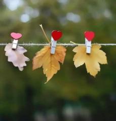 Десислава Желязкова