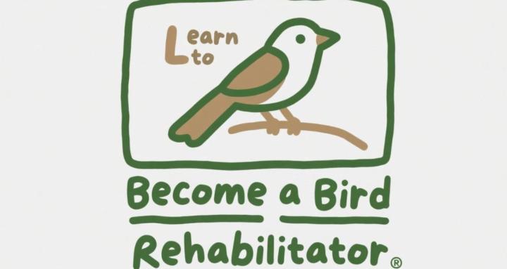 Avian Rehabilitation 