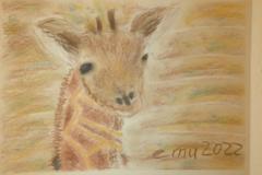 Edith Müller-Nöthen