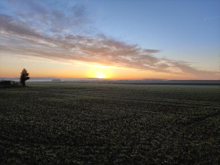 Anne-Sophie Delahaye