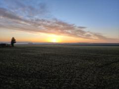 Anne-Sophie Delahaye