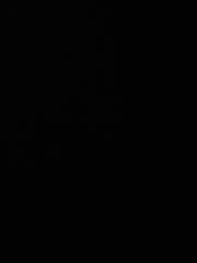 Y Y