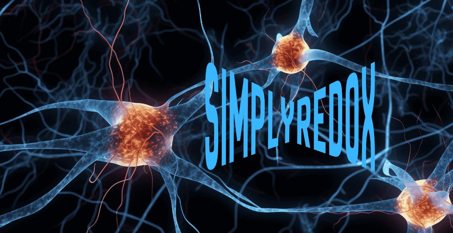 Redox Útiterv – 90 napos kézikönyv