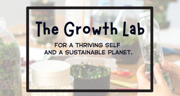 The Growth Lab 