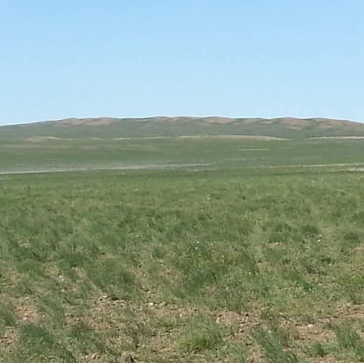 Дуламжав Цэвээнрэгзэн