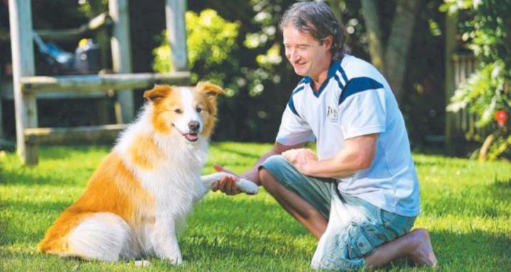 The Eternal Older Dog